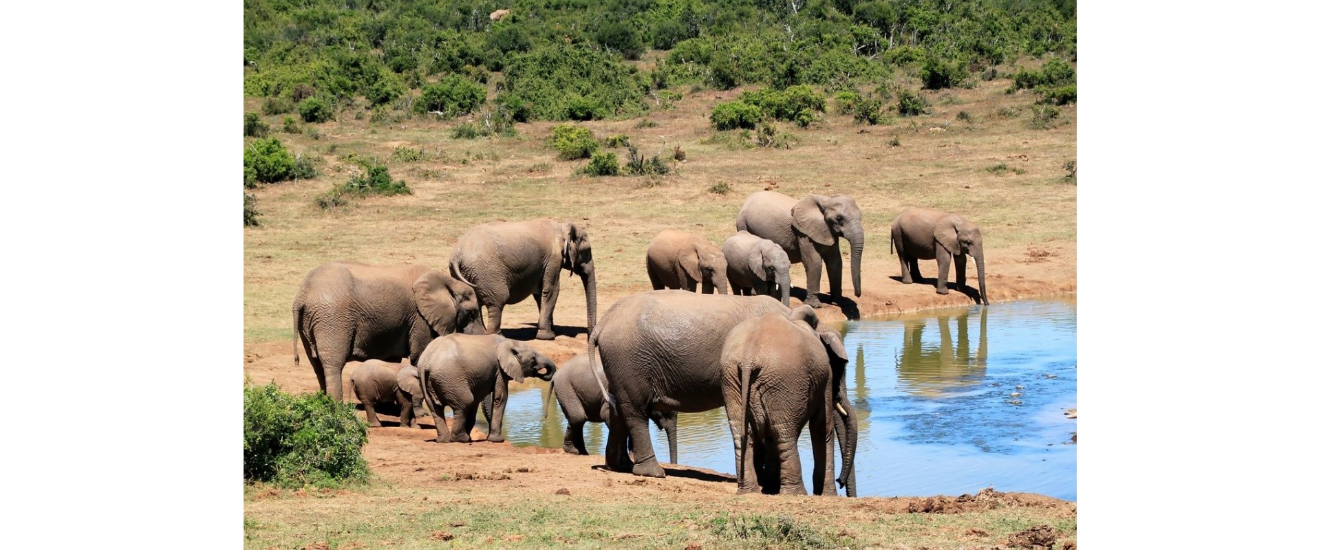 Rajaji National Park